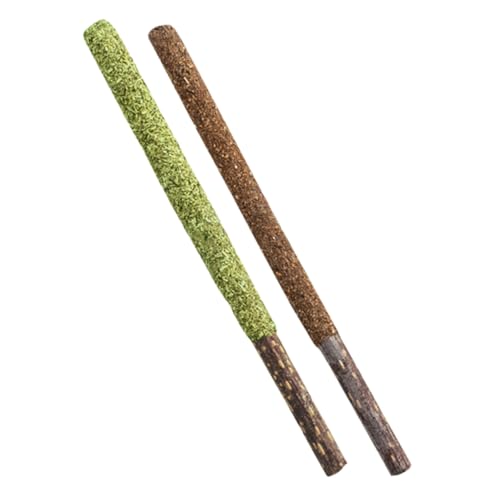 Toddmomy 12Stücke Katzenminze Kau Sticks mit Insekten Gallfrucht Zahnpflege Snacks für Katzen Haustiergeschenk für Gesunde Zähne und Spielspaß Natürliche Zutaten für Katzenliebe von Toddmomy