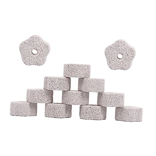 Toddmomy 12Stücke Zahnschleifer aus Vulkanstein Fruchtförmige Kausteine für Kleintiere für Kaninchen Meerschweinchen und Hamster mit Calcium und Mineralien von Toddmomy