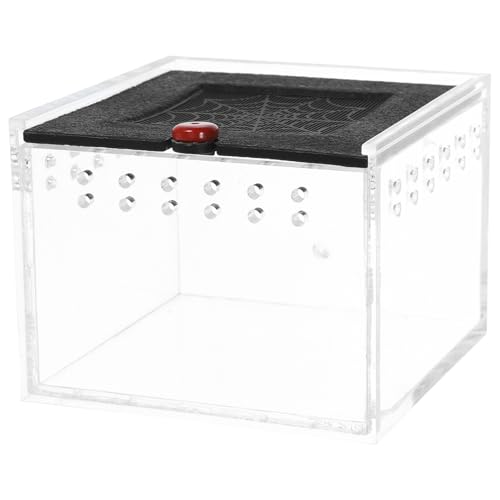 Toddmomy Zuchtbox Für Reptilien Und Schlangen Acryltank Belüftungslöcher Sicherer Magnetverschluss Zur Vermeidung Von Ausbrüchen Komfort von Toddmomy