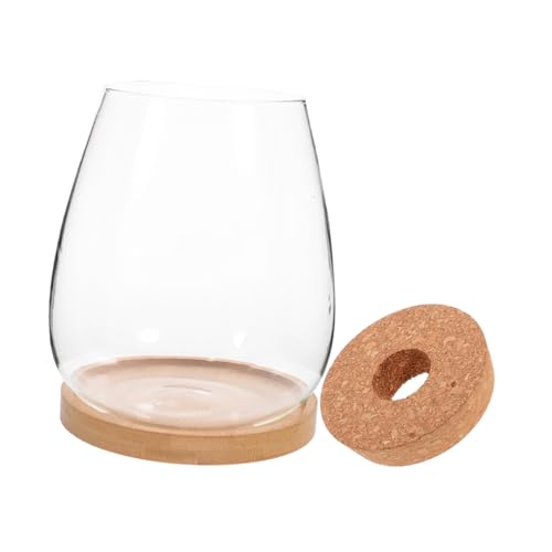 Toddmomy Glasterrarium Für Hydrokultur Anlage Komplettes Terrarien Mit Pflanzen Halter Für Indoor Dekoration DIY Pflanzenbehälter Für Zimmer Oder Büro Toddmomy Glasterrarium Für Hydrokultur Anlage Komplettes Terrarien Mit Pflanzen Halter Für Indoor Dekoration DIY Pflanzenbehälter Für Zimmer Oder Büro von Toddmomy