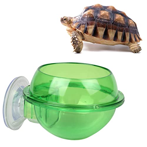 Toddmomy 1Stück Kleiner Pet Futternapf aus Saugnapf Trinkschale für Eidechsen Schildkröten und Kleine Reptilien Futter und Wasserschale für Haustiere für Geckos von Toddmomy
