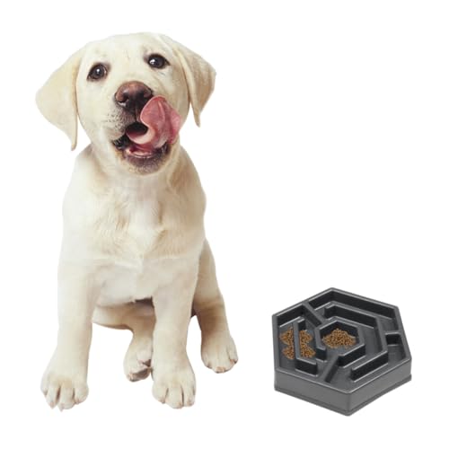 Toddmomy 1Stück Kreative Haustier Futterschale Antischlingnapf für Katzen und Kleine rutschfest aus Strapazierfähigem Resin Fördert Langsames Fressen für Bessere Verdauung von Toddmomy