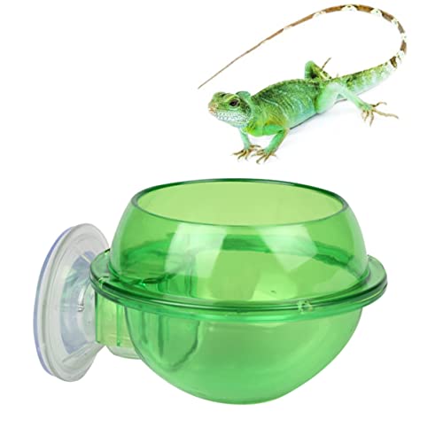 Toddmomy Robuster Abs-Reptilien-Feeder Für Eidechsen Schildkröten Trinknapf Kleiner Futternapf Für Haustiere von Toddmomy