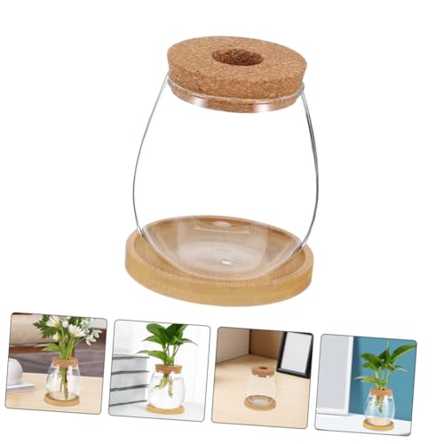 Toddmomy 2sätze Glasbehälter Für Hydrokultur Terrarien-blumenvase Aus Klarem Glas Indoor-gartenflasche Mit Wasserblumentopf Kleiner Pflanzenanzuchtkasten Für Pflanzenanzuchtstation von Toddmomy