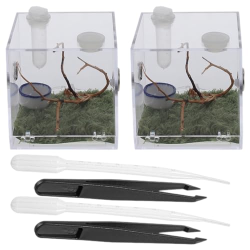 Toddmomy 2sätze Spinnengehegebox Aus Kunststoff Mit Pinzette Und Pipette Transparentes Insektenhabitat Kompakt Und Bruchfest Geeignet Für Springspinnen Und Andere Spinnen Toddmomy 2sätze Spinnengehegebox Aus Kunststoff Mit Pinzette Und Pipette Transparentes Insektenhabitat Kompakt Und Bruchfest Geeignet Für Springspinnen Und Andere Spinnen von Toddmomy