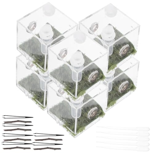 Toddmomy Kompakter Käfig Aus Acryl Für Springspinnen Schneckenterrarium Kleiner Futterbehälter Für Reptilien Toddmomy Kompakter Käfig Aus Acryl Für Springspinnen Schneckenterrarium Kleiner Futterbehälter Für Reptilien von Toddmomy