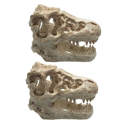 Toddmomy 2 Stück Dinosaurier Harz Schädel Dekoration Aquarium-versteck- Skelett Ornamente Reptil Dinosaurier-schädel-Handwerk Simuliert Mini Klein Gefälscht Versteckverzierung von Toddmomy