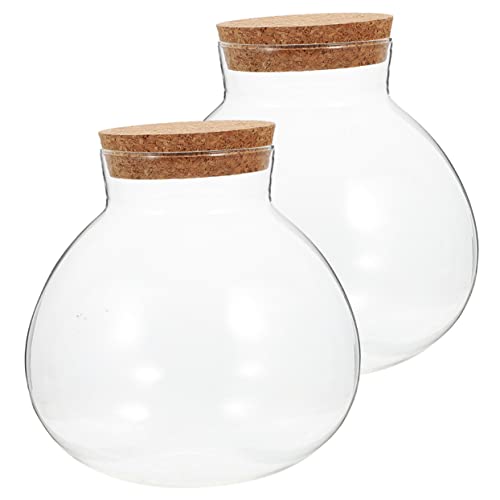 Toddmomy 2 Stück Eco-Flasche Flaschengartenterrarium Landschaft Flasche Pflanzenvermehrungsgläser Terrarientöpfe Und Mikro-landschaftsvase Tischterrarium Kugelpflanzen Terrarium Runden Glas von Toddmomy