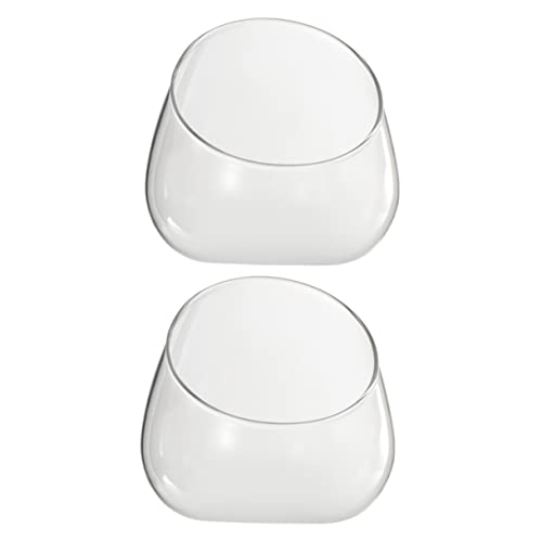 Toddmomy 2 Stück Eco-Flasche Terrarienglas groß Mikrolandschaftsflasche -Terrarium Terrariumvase Pflanzen Klare dekorative Behälter Terrariumbehälter Glas mit hohem Borosilikatgehalt von Toddmomy
