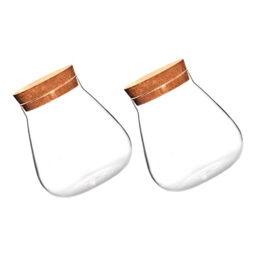 Toddmomy 2 Stück Flasche aus Korkglas klares Terrarium Mikro-Landschaftsflasche Mikro-Landschaftsglas ökologische Flasche Glasflasche ökologisches Glas Hausbedarf Holz Brown von Toddmomy