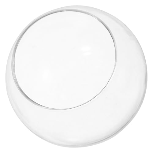 Toddmomy 2 Stück Glas Aquarium Fleischiges Gartenmoos Luftpflanzen Mikroflasche Sukkulente Hochzeitskreisgläser Desktop Home Landschafts Terrarium Modernes Pflanzen Terrarium LED Toddmomy 2 Stück Glas Aquarium Fleischiges Gartenmoos Luftpflanzen Mikroflasche Sukkulente Hochzeitskreisgläser Desktop Home Landschafts Terrarium Modernes Pflanzen Terrarium LED von Toddmomy