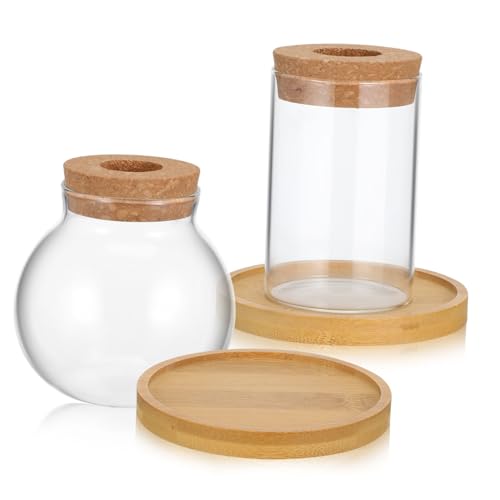 Toddmomy 2 Stück Holzvase Hydroponik -pflanzenvase Hydroponische Flasche Vermehrungsvasen Für Pflanzen Pflanzenvermehrungsgläser Pflanzenterrarium Pflanzenvermehrungshalter Transparent Glas von Toddmomy