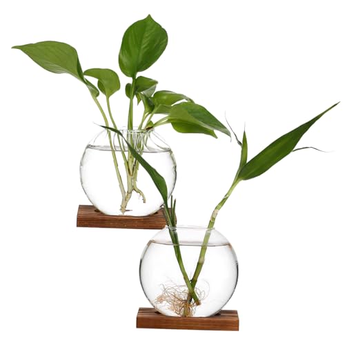 Toddmomy Vielseitige 2-teilige Glasvasen-Kollektion Pflanzen-Terrarium Hydrokultur-pflanzgefäß Dekoration Blumenvase Für Tafelaufsätze von Toddmomy