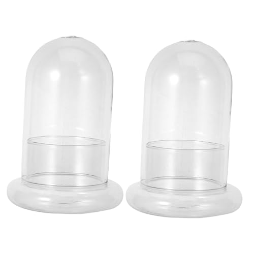 Toddmomy 2 Stück Micro Landschafts Glasflasche DIY Terrarium Flasche für Pflanzen Moos und Dekoration für Hauswarming Geburtstage und Feiertage von Toddmomy