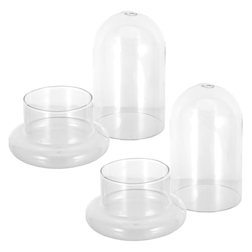 Toddmomy 2 Stück Terrarium Flasche Ökologische Landschaftsflasche für DIY Dekoration für Miniaturornamente Wohnräumen Toddmomy 2 Stück Terrarium Flasche Ökologische Landschaftsflasche für DIY Dekoration für Miniaturornamente Wohnräumen von Toddmomy