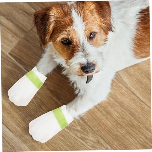 Toddmomy 20 Stück wasserdichte Hundeschuhe rutschfeste Atmungsaktive Pfotenschutz Booties für Outdoor Schmutzabweisend Komfortable Passform für Sichere Pfotenpflege Toddmomy 20 Stück wasserdichte Hundeschuhe rutschfeste Atmungsaktive Pfotenschutz Booties für Outdoor Schmutzabweisend Komfortable Passform für Sichere Pfotenpflege von Toddmomy