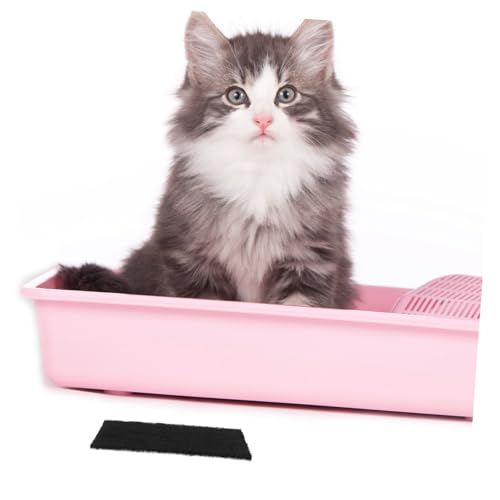 Toddmomy 21Stücke Pack Katzentoilette Aktivkohlefilter für Geschlossene Katzenstreu Box Geruchsneutralisierer Einfache Einsetzbar für Frisches Raumklima Toddmomy 21Stücke Pack Katzentoilette Aktivkohlefilter für Geschlossene Katzenstreu Box Geruchsneutralisierer Einfache Einsetzbar für Frisches Raumklima von Toddmomy