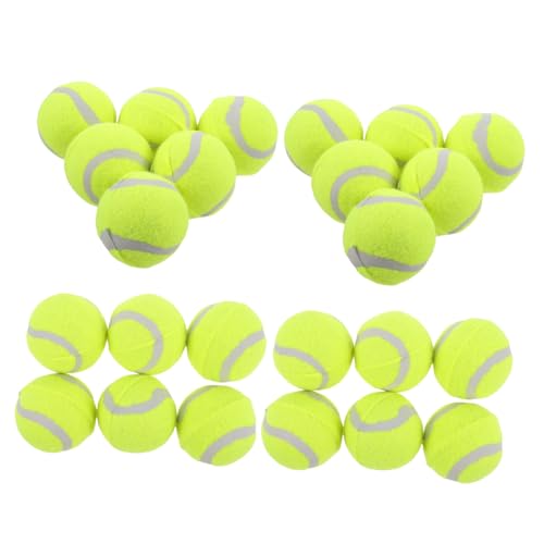 Toddmomy 22 Stück Hüpf Tennisbälle Für Hunde Hundebälle Welpenspielzeug Großpackung Hundespielzeug Ball Für Hunde Heicos Interaktiver Hundeball Basketballspielzeug von Toddmomy