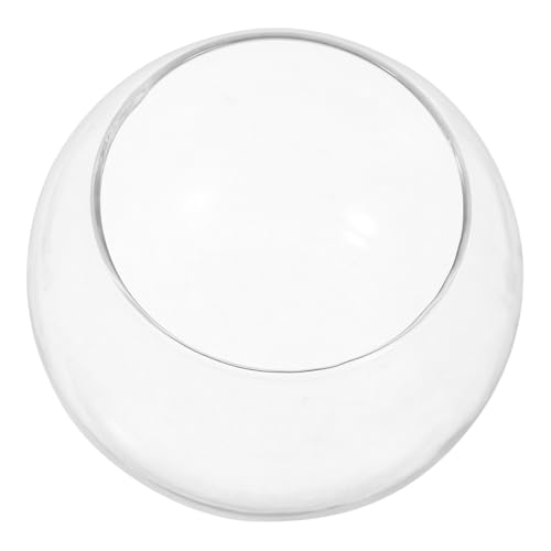 Toddmomy 2Stücke Glasflasche Für Moos Terrarium Dekorative Pflanzenbehälter Für DIY Landschaften Für Innendekoration Und Projekte von Toddmomy