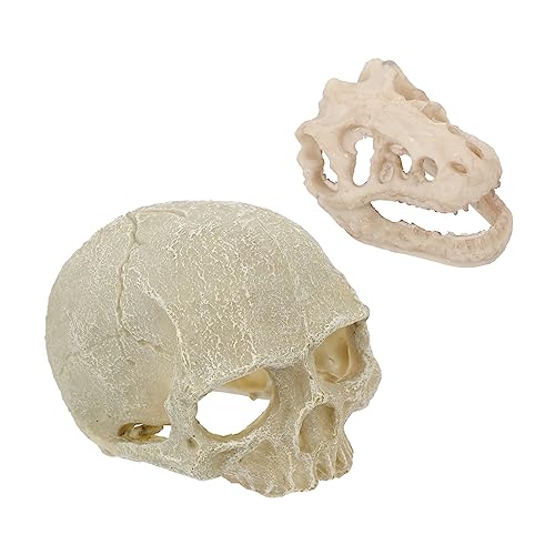 Toddmomy 2Stücke Künstliche Schädelform Aquarium Ornament Harz Dekoration Für Fischbehälter Sicher Für Süßwasser Aquarien Lebendige Für Fische von Toddmomy