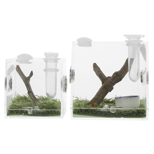 Toddmomy 2Stücke Transparente Spinnenkästen Fluchtbox Für Haustiere Insektenboxen Für Jumping Spiders Terrarium Für Kleine Reptilien Und Insekten Zur Beobachtung von Toddmomy