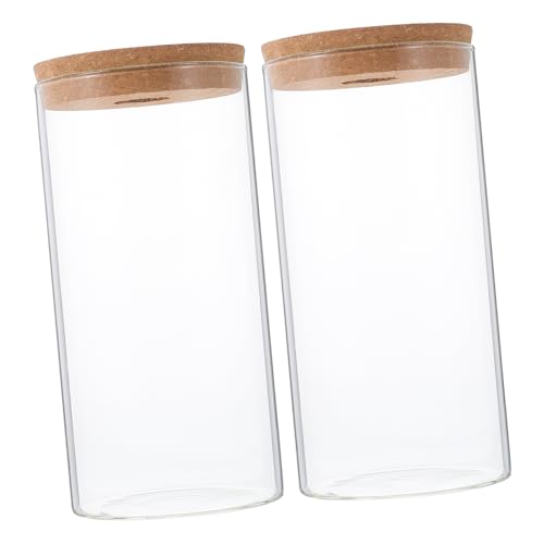 Toddmomy Moos Landschaftsbau Flasche Set 2pcs Glas Anlage Terrarium Glühbirne Vase Sukkulente Pflanze Flasche von Toddmomy