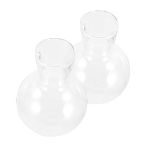 Toddmomy Blumentopf-zubehör 2er-Pack Glas Für Pflanzenhalter Zur Präsentation Künstlicher Und Frischer Blumen von Toddmomy
