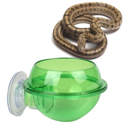 Toddmomy 2stücke Reptilien Wassernapf Mit Saugnapf Sicheres Trinkgefäß Für Kleine Haustiere Wie Schildkröten Eidechsen Schlangen Einfache Installation Und Reinigung von Toddmomy