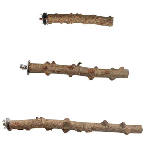 Toddmomy 3 Stück Teiliges Holz Vogel Sitzstangen Stabiles Naturholz Papagei Stand Langlebige Kletterstangen für Kleine Vögel für Käfigspielplatz und Krallenpflege von Toddmomy