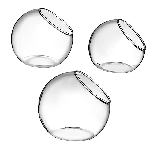 Toddmomy 3stücke Teiliges -Terrarium Mikrolandschaften Klare Glasvase Für Pflanzen Für Moos Sukkulentendekorationen Wiederverwendbar Und Pflegeleicht Toddmomy 3stücke Teiliges -Terrarium Mikrolandschaften Klare Glasvase Für Pflanzen Für Moos Sukkulentendekorationen Wiederverwendbar Und Pflegeleicht von Toddmomy