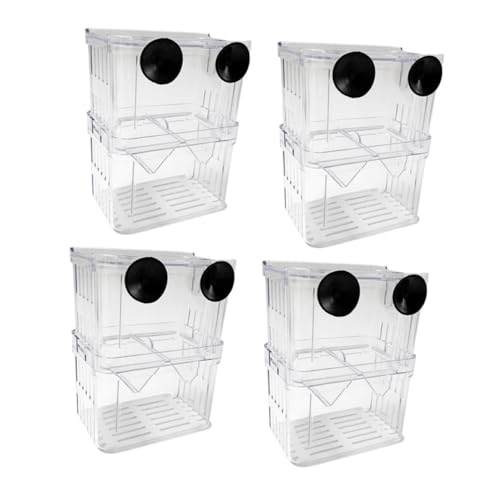 Toddmomy 4 Stück Aquarium Aufzuchtbecken mit Saugnäpfen Transparente Zuchtbox für Fischbrut Doppelkammer Isolationsbox für Aggressive Fische Schutz für Guppy und Betta Jungfische Toddmomy 4 Stück Aquarium Aufzuchtbecken mit Saugnäpfen Transparente Zuchtbox für Fischbrut Doppelkammer Isolationsbox für Aggressive Fische Schutz für Guppy und Betta Jungfische von Toddmomy
