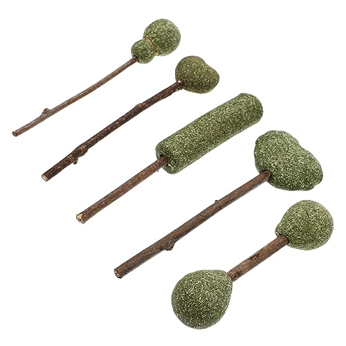 Toddmomy 5 Stück Natürliche Katzenminze Lollipops Vielseitige Katzensnacks zur Appetitanregung und Zahnpflege Fördert Verdauung Verschiedene Designs Platzsparend und Leicht von Toddmomy