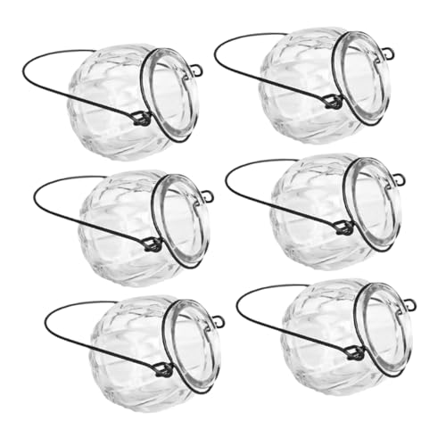 Toddmomy 6 Stück Hydrokultur Glasvase Für Zimmerpflanzen Wandbehang-pflanzgefäß Hängende Anzuchtgläser Aus Klarem Glas Pflanzgefäße Für Wohn- Und Bürobereiche Toddmomy 6 Stück Hydrokultur Glasvase Für Zimmerpflanzen Wandbehang-pflanzgefäß Hängende Anzuchtgläser Aus Klarem Glas Pflanzgefäße Für Wohn- Und Bürobereiche von Toddmomy