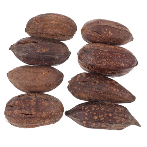 Toddmomy 8stücke Lustige Trockenfrucht-kau-spielzeuge Für Vögel Natürliche Kauspielzeuge Für Papageien Wellensittiche Und Andere Kleine Vögel Zur Beschäftigung Und Zahnpflege von Toddmomy