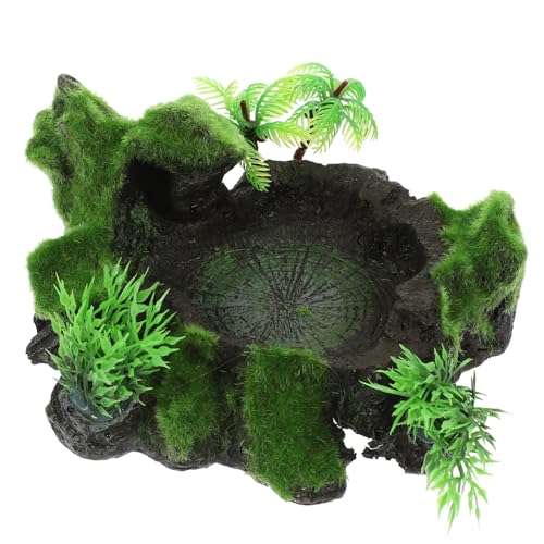 Toddmomy Reptile Wasser Und Futternapf Resin Wasserfest Und Langlebig Für Schildkröten Eidechsen Und Andere Kleine Reptilien Mit Rutschfester Oberfläche Und Natürlichem Design Toddmomy Reptile Wasser Und Futternapf Resin Wasserfest Und Langlebig Für Schildkröten Eidechsen Und Andere Kleine Reptilien Mit Rutschfester Oberfläche Und Natürlichem Design von Toddmomy