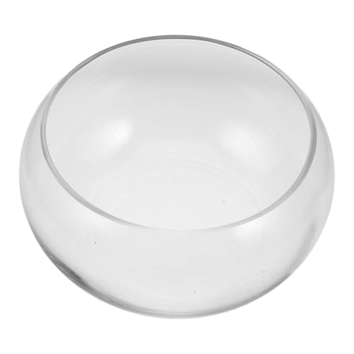 Toddmomy Blumentopf Aus Glas Groß Drinnen Anlage Aquarium Desktop Pflanztöpfe Für Zimmerpflanzen Fischglasvase Terrarien Tischplatte Wächter Schüsseln Tank Saftig Transparent von Toddmomy