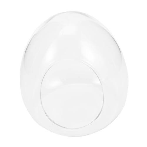 Toddmomy Brucea Ökologische Flasche Drinnen Moos Ökologische Flasche Anlage Saftig Dekorative Flasche Kräutertöpfe Für Den Innenbereich Luftpflanzen Container Terrarien Glas von Toddmomy
