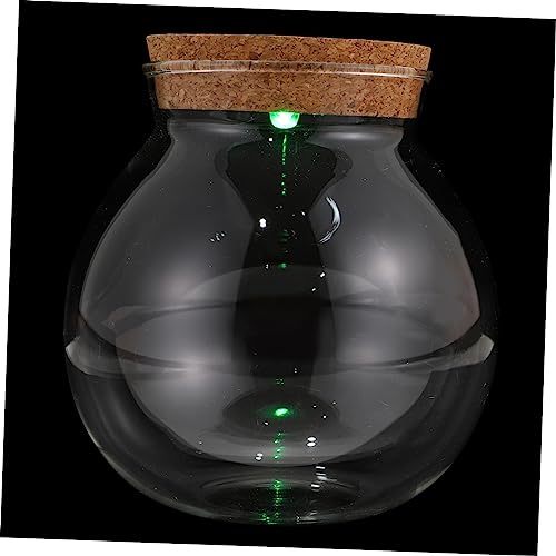 Toddmomy Elegante Landschaftsflasche Pflanzenbehälter Aus Glas Leicht Zu Reinigen Perfektes von Toddmomy