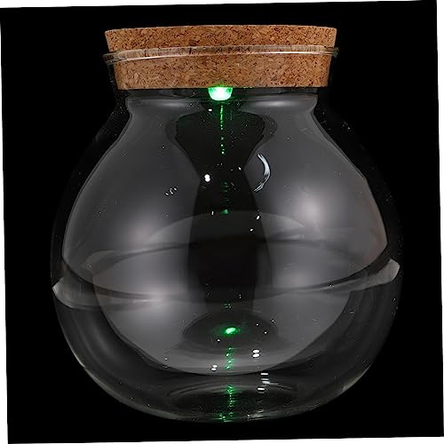 Toddmomy Bunte ökologische Flasche einfaches Pflanzenterrarium Wohnkultur Mikrolandschaftshalter Mikrolandschaftsflasche Mikro-Landschaftsflasche Vorratsflasche Glas Toddmomy Bunte ökologische Flasche einfaches Pflanzenterrarium Wohnkultur Mikrolandschaftshalter Mikrolandschaftsflasche Mikro-Landschaftsflasche Vorratsflasche Glas von Toddmomy