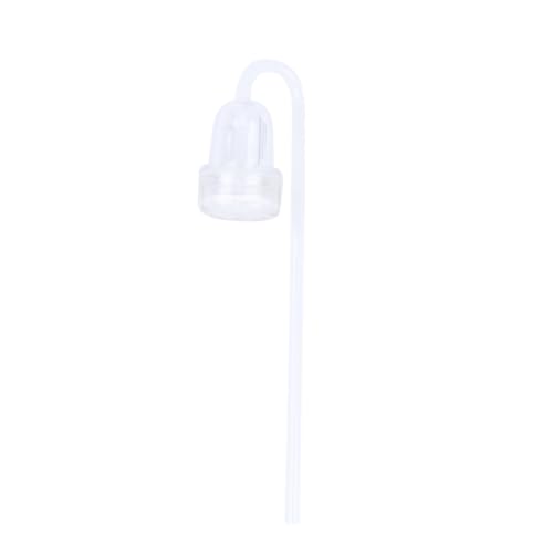 Toddmomy Co2 Diffusor für Aquarium Aquarium Zubehör Co2 Reaktor Feine Blasen Pflanzen Gesundheit Toddmomy Co2 Diffusor für Aquarium Aquarium Zubehör Co2 Reaktor Feine Blasen Pflanzen Gesundheit von Toddmomy