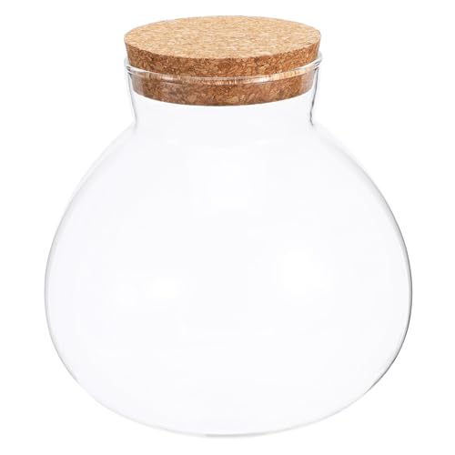 Toddmomy DIY Flasche für Landschaft Behältnis mit Korkverschluss für Pflanzen und Dekoration für Projekte Toddmomy DIY Flasche für Landschaft Behältnis mit Korkverschluss für Pflanzen und Dekoration für Projekte von Toddmomy