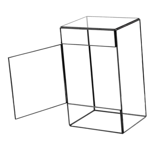 Toddmomy Desktop -Landschaftstank groß klare Töpfe für Pflanzen drinnen saftig ökologischer Halter Pflanzenterrarium DIY-Terrarium Terrarienmoos einfaches Glasterrarium Zinn von Toddmomy