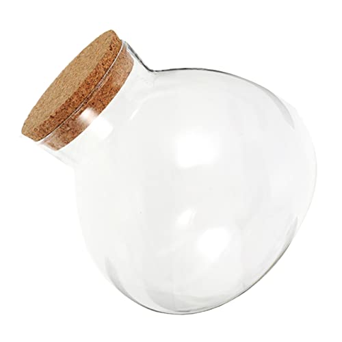 Toddmomy Mikrolandschaft Ökologische Glasflasche Terrarium Mit Korkdeckel Pflanzenterrarium Behälter Für Moos Und Pflanzen von Toddmomy