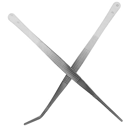 Toddmomy 25 cm Große Futterzange Aus Edelstahl 1 Gerade Und 1 Gebogen Für Die Pflege Von Spinnen Schlangen Und Eidechsen Sowie Zum Basteln von Toddmomy