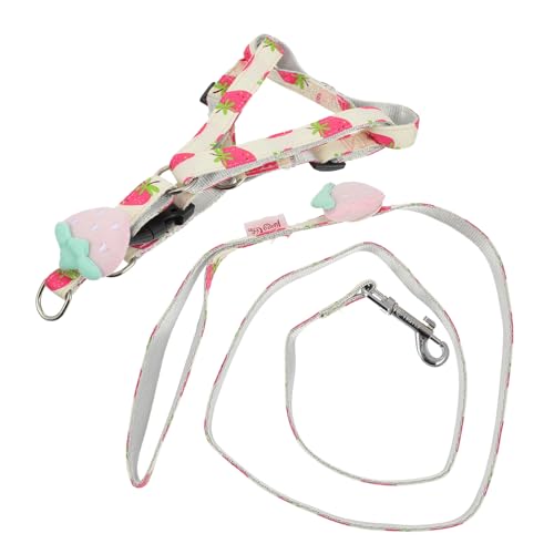 Toddmomy Einstellbare Hundeleine mit Fruchtmotiven Wasserabweisende Leine für Sicheres für Kleine bis Mittelgroße für Outdoor Aktivitäten von Toddmomy