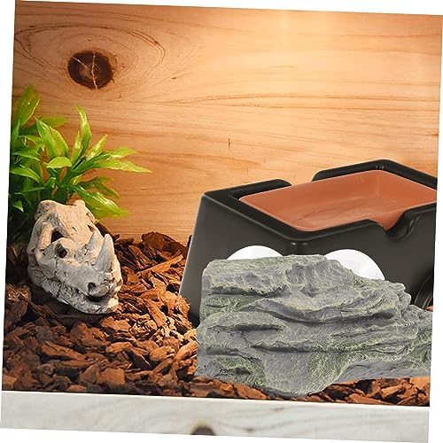 Toddmomy Sonnenplattform Für Schildkrötenbecken Verstellbar Aus Kunststoff Große Sonnenfläche Für Wasserschildkröten Und Reptilien Toddmomy Sonnenplattform Für Schildkrötenbecken Verstellbar Aus Kunststoff Große Sonnenfläche Für Wasserschildkröten Und Reptilien von Toddmomy