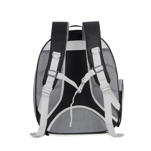 Toddmomy Erweiterbarer Transparenter Katzenrucksack mit Atmungsaktivem Mesh Leichtem Kratzfestem Material und Großem Ausklappbereich Tragbarer Haustier Reiserucksack für Kleine Katzen und von Toddmomy
