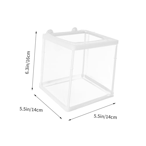 Toddmomy Fischzuchtbox Weiß mit Abnehmbarem Netz Langlebiger Brutkasten für Aquarium Separates Aufzuchtbecken für Guppy Betta Kleine Fische Einfach zu Reinigen und Sicher für Fische Toddmomy Fischzuchtbox Weiß mit Abnehmbarem Netz Langlebiger Brutkasten für Aquarium Separates Aufzuchtbecken für Guppy Betta Kleine Fische Einfach zu Reinigen und Sicher für Fische von Toddmomy
