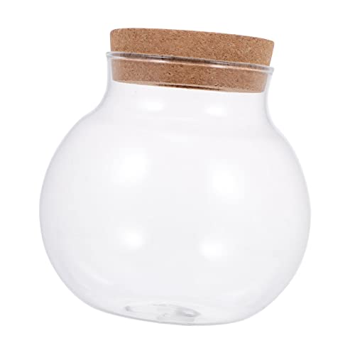 Toddmomy Glas Pflanzenflasche Mit Deckel Transparentes Terrarium Für Mikro-landschaften Dekorative Glasflasche Für Schreibtisch Vielseitige Aufbewahrung Und Kreative -Dekoration Für Toddmomy Glas Pflanzenflasche Mit Deckel Transparentes Terrarium Für Mikro-landschaften Dekorative Glasflasche Für Schreibtisch Vielseitige Aufbewahrung Und Kreative -Dekoration Für von Toddmomy