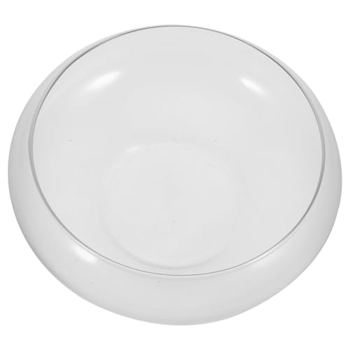 Toddmomy Glasblasenschale, rund, Fischschale, transparent, Pflanzgefäß, Pflanzgefäß, Hydrokultur, Vase, Heimdekoration, 25 cm L von Toddmomy
